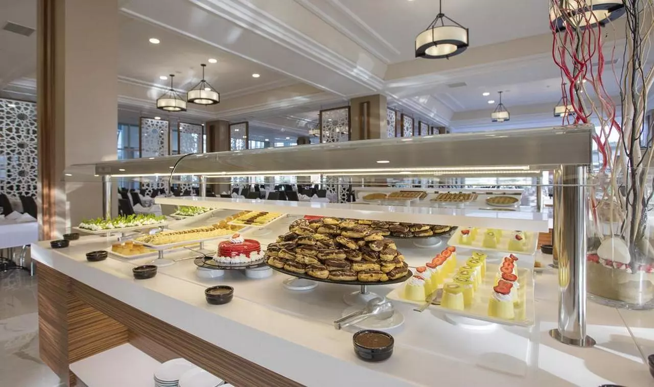 PALMWING_SHABAVIZ (19).jpg